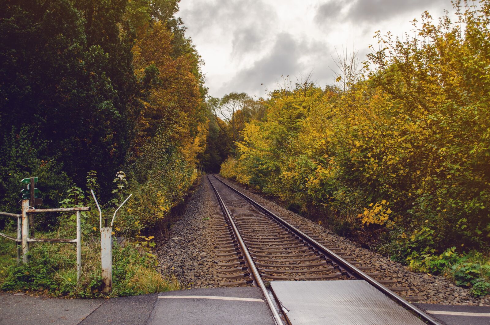 Nikon D5100 sample photo. Rails, autumn, track photography