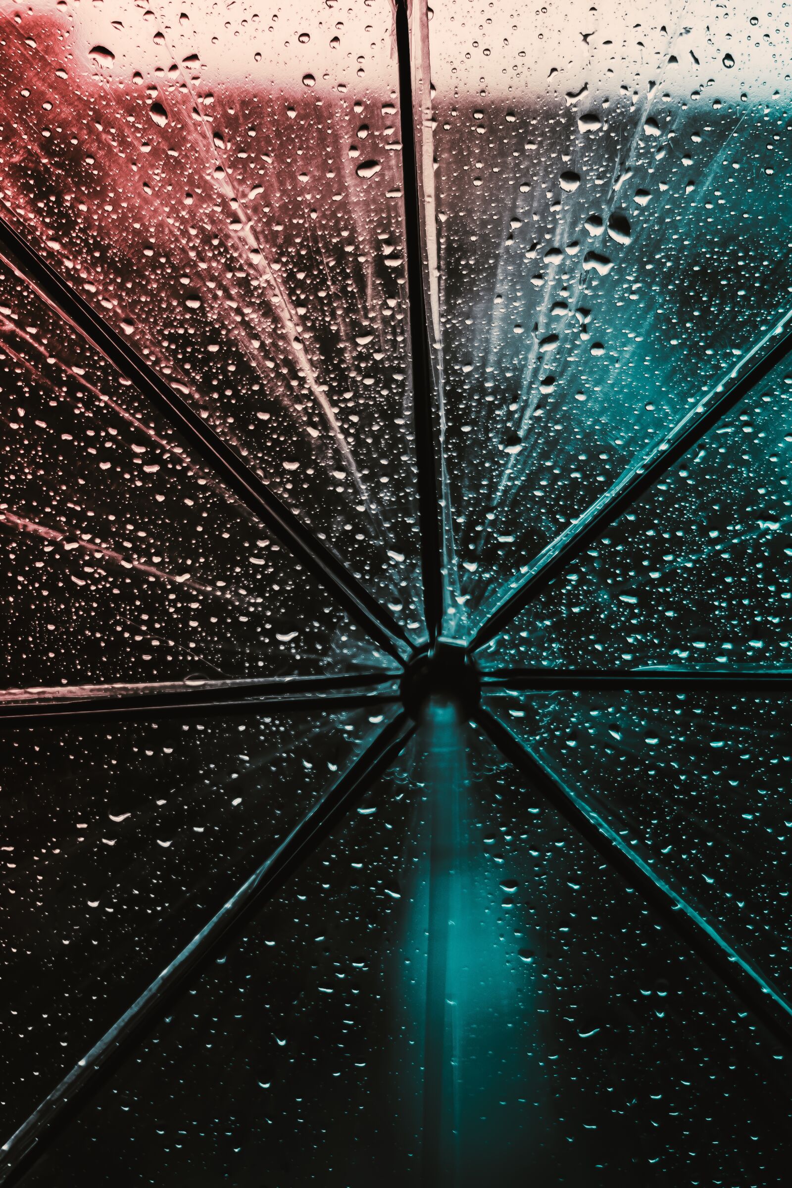 Canon EOS 1100D (EOS Rebel T3 / EOS Kiss X50) sample photo. Umbrella, raindrops, wet photography