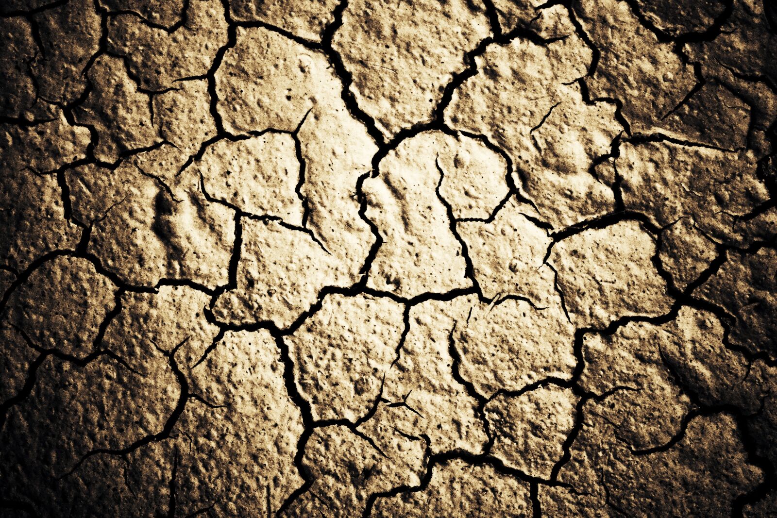 Nikon D3100 sample photo. Golden pattern, cracked background photography