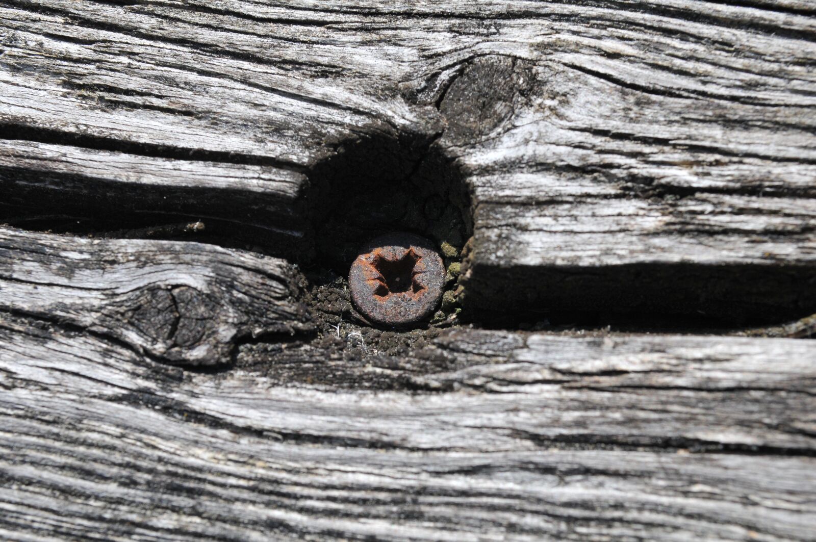 Nikon D300 sample photo. Nail, wood, nails photography