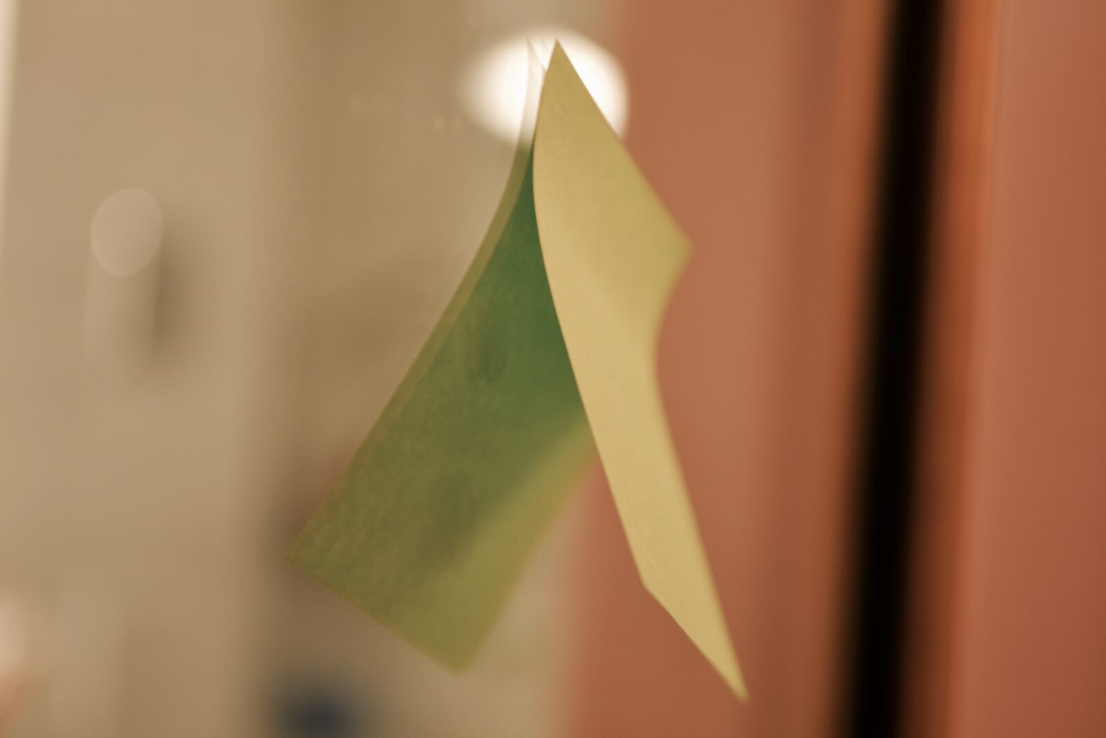 Nikon D3100 sample photo. Blur, mirror photography