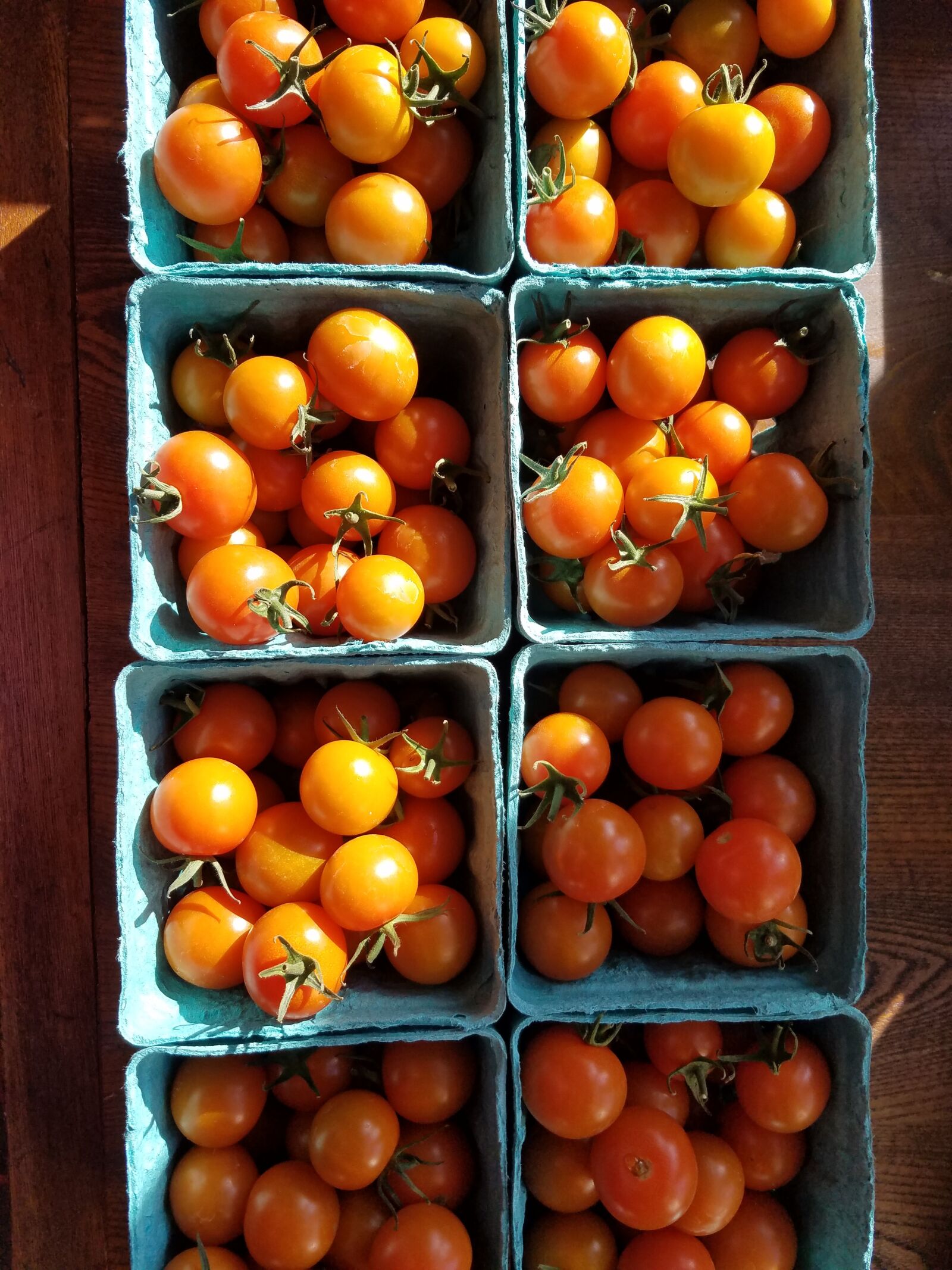 Samsung Galaxy S7 sample photo. Sungold, cherry tomatoes, organic photography