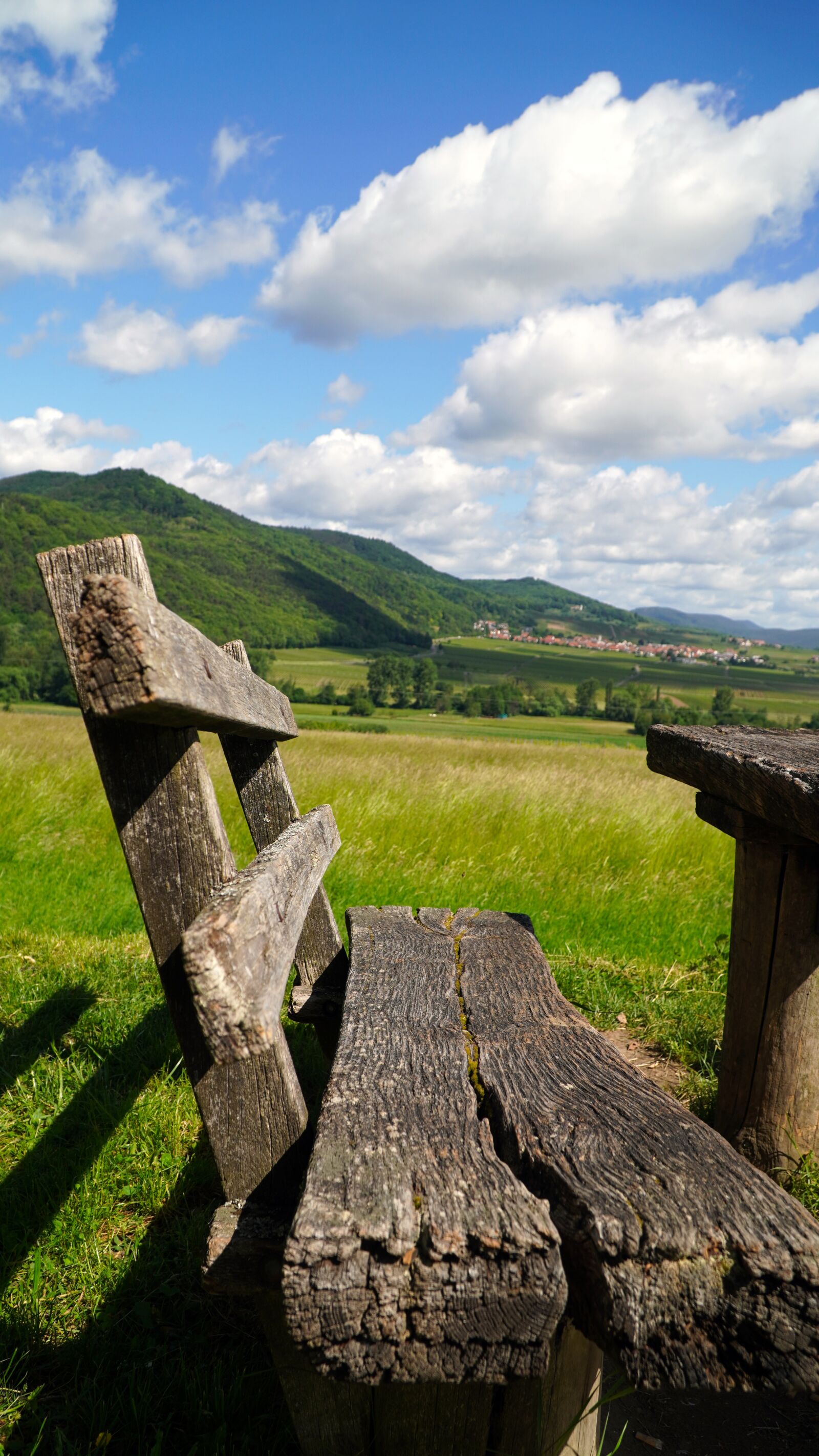 Sony E PZ 18-105mm F4 G OSS sample photo. Bank, wood, seat photography