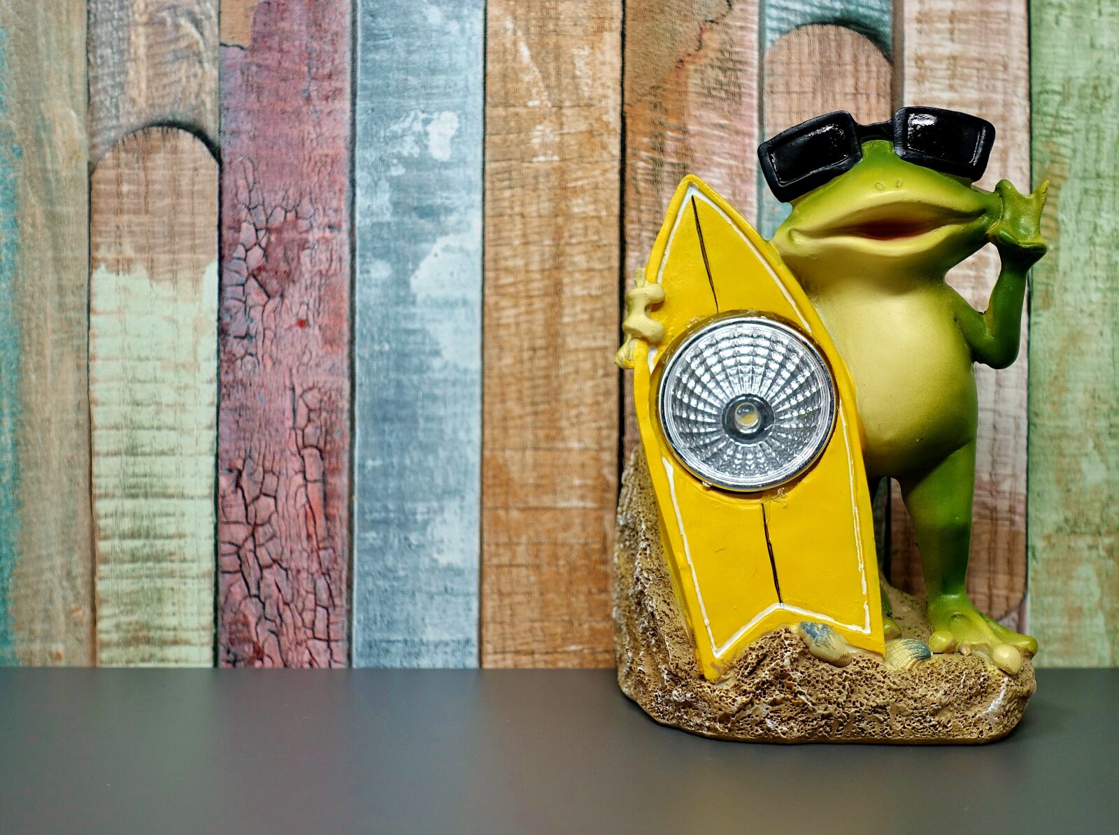 Sony DSC-RX100M5 sample photo. Holidays, vacations, frogs photography