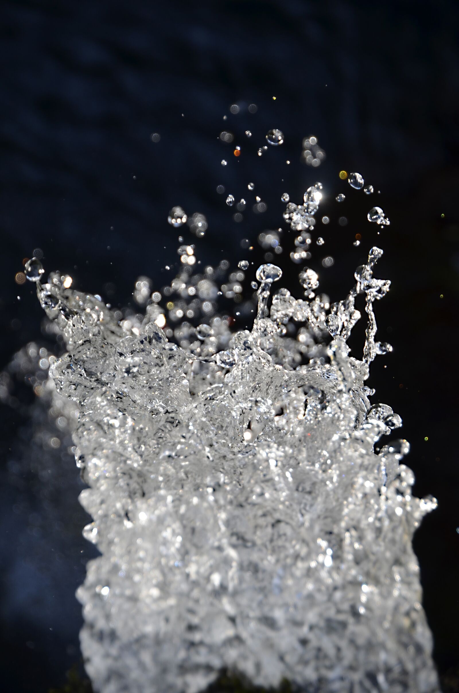 Nikon D5100 sample photo. Clear, drop, liquid photography