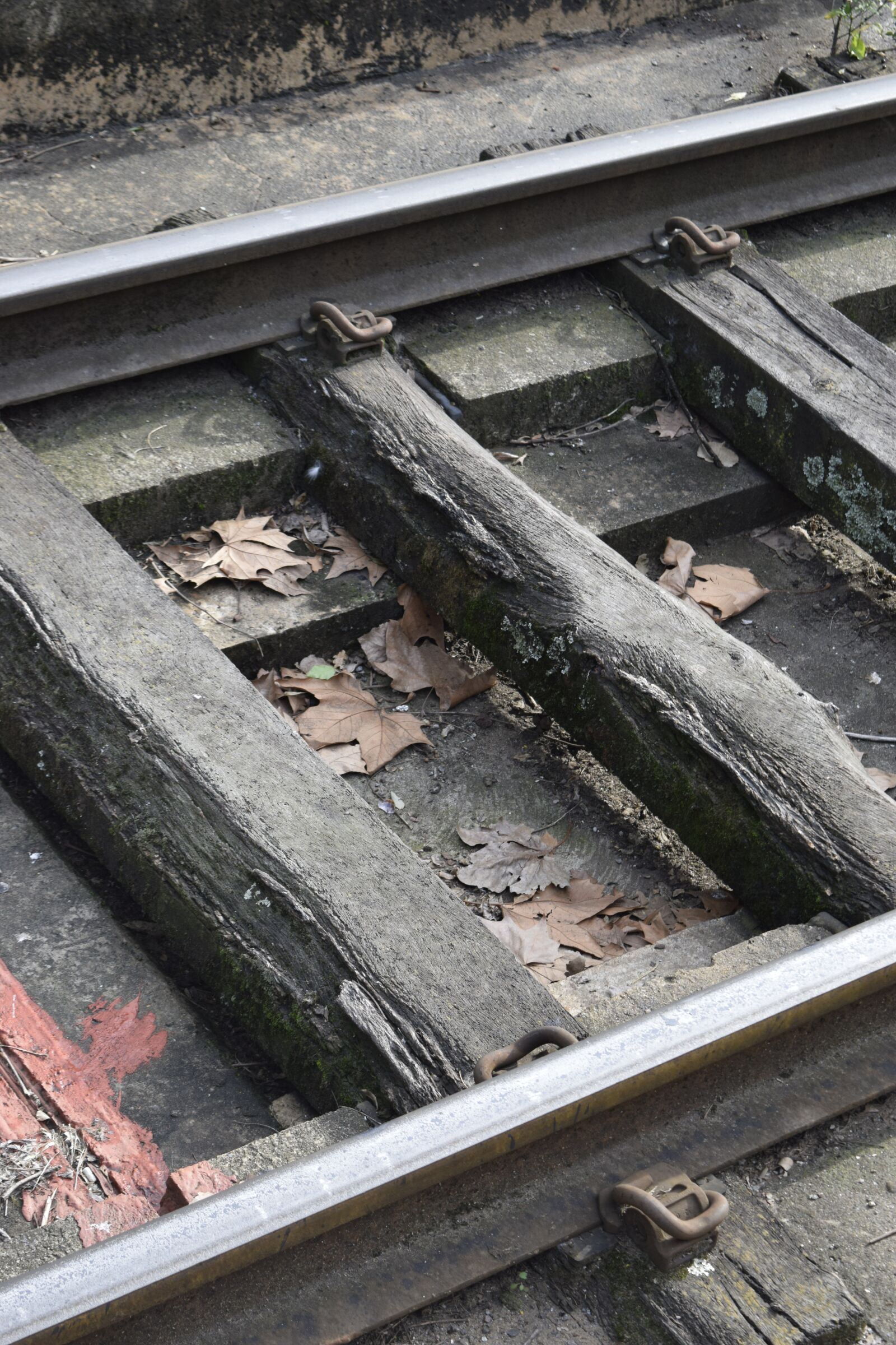 Nikon D5300 sample photo. Trail, train, railroad photography