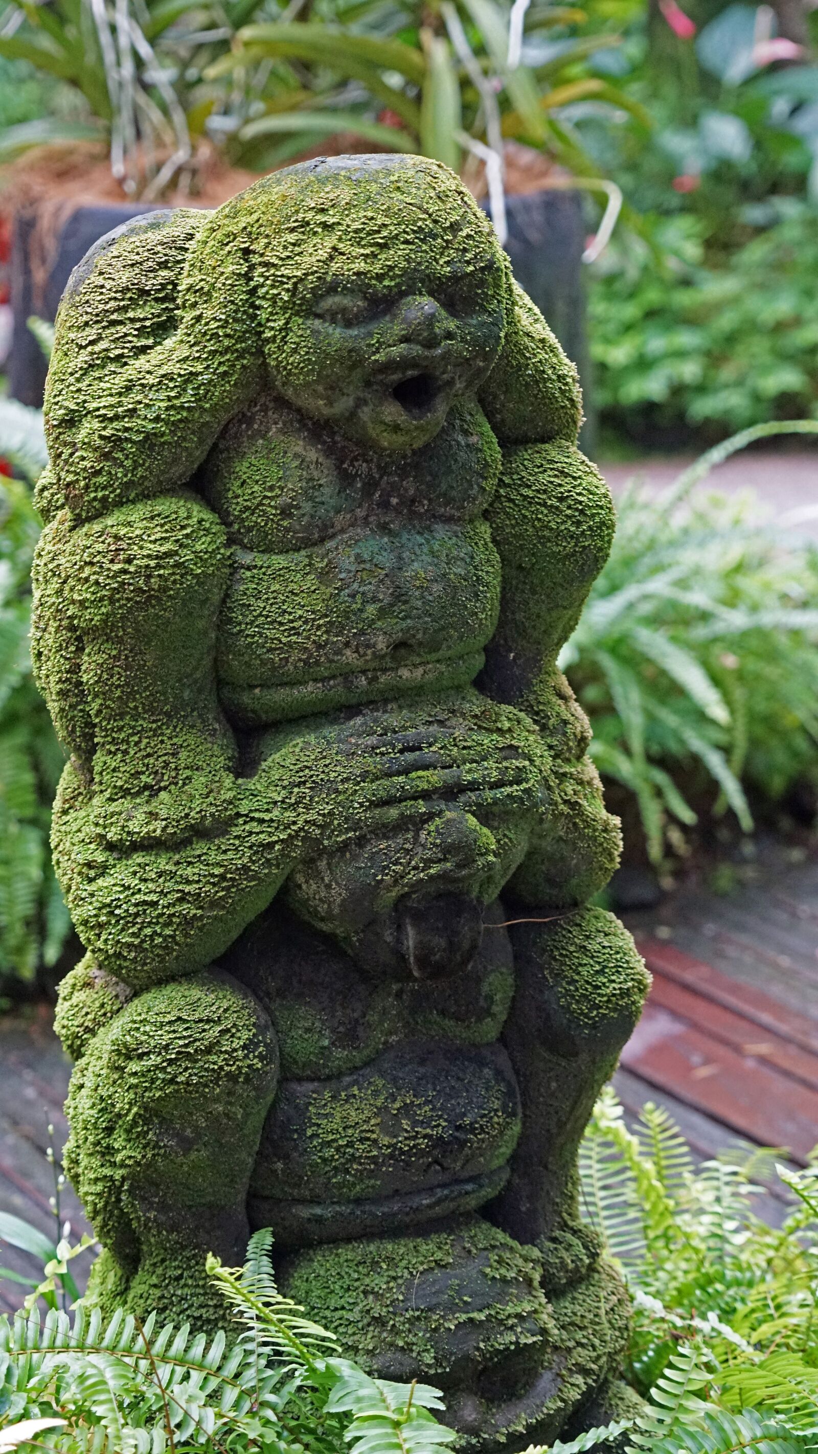 Sony a7 + Sony FE 24-240mm F3.5-6.3 OSS sample photo. Sculpture, singapore, orchid garden photography