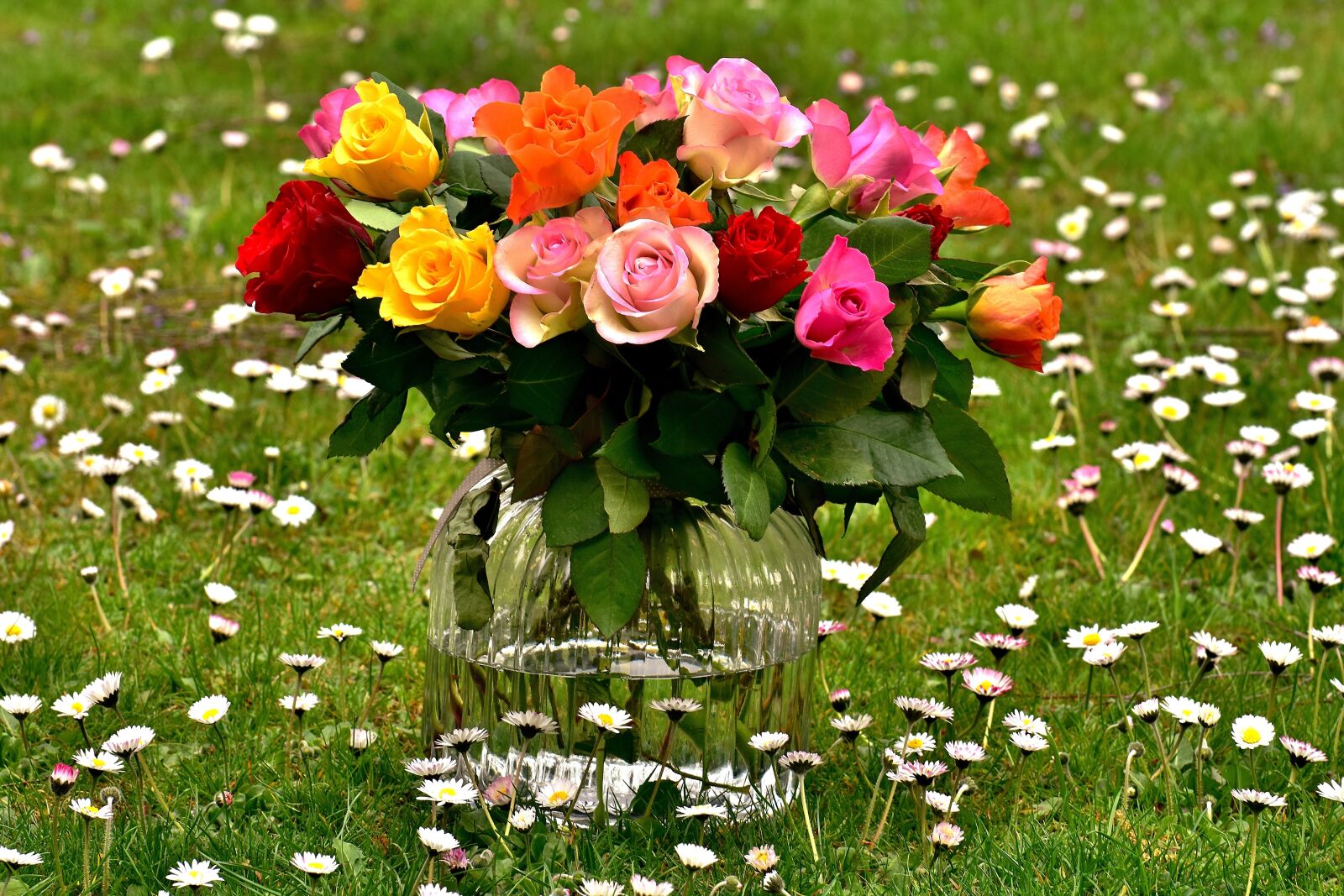 Nikon D7200 sample photo. Roses, bouquet, flowers photography