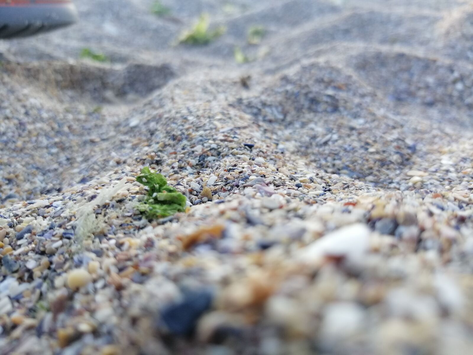 HUAWEI SNE-LX1 sample photo. The sand, beach, the photography