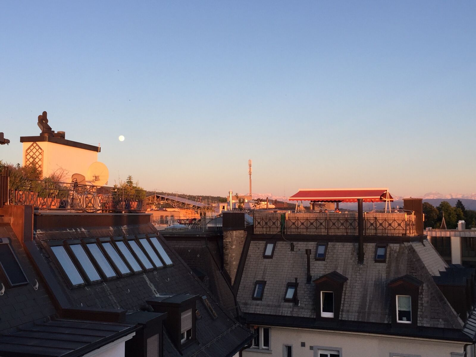 iPhone 6 back camera 4.15mm f/2.2 sample photo. Zurich, roof terrace, nature photography