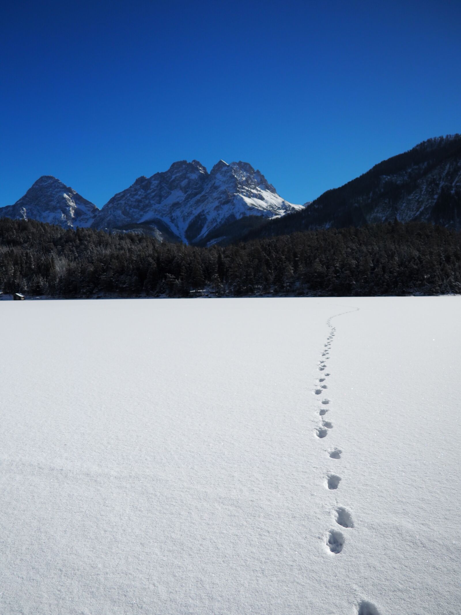 Olympus OM-D E-M10 sample photo. Tyrol, winter, winter sports photography