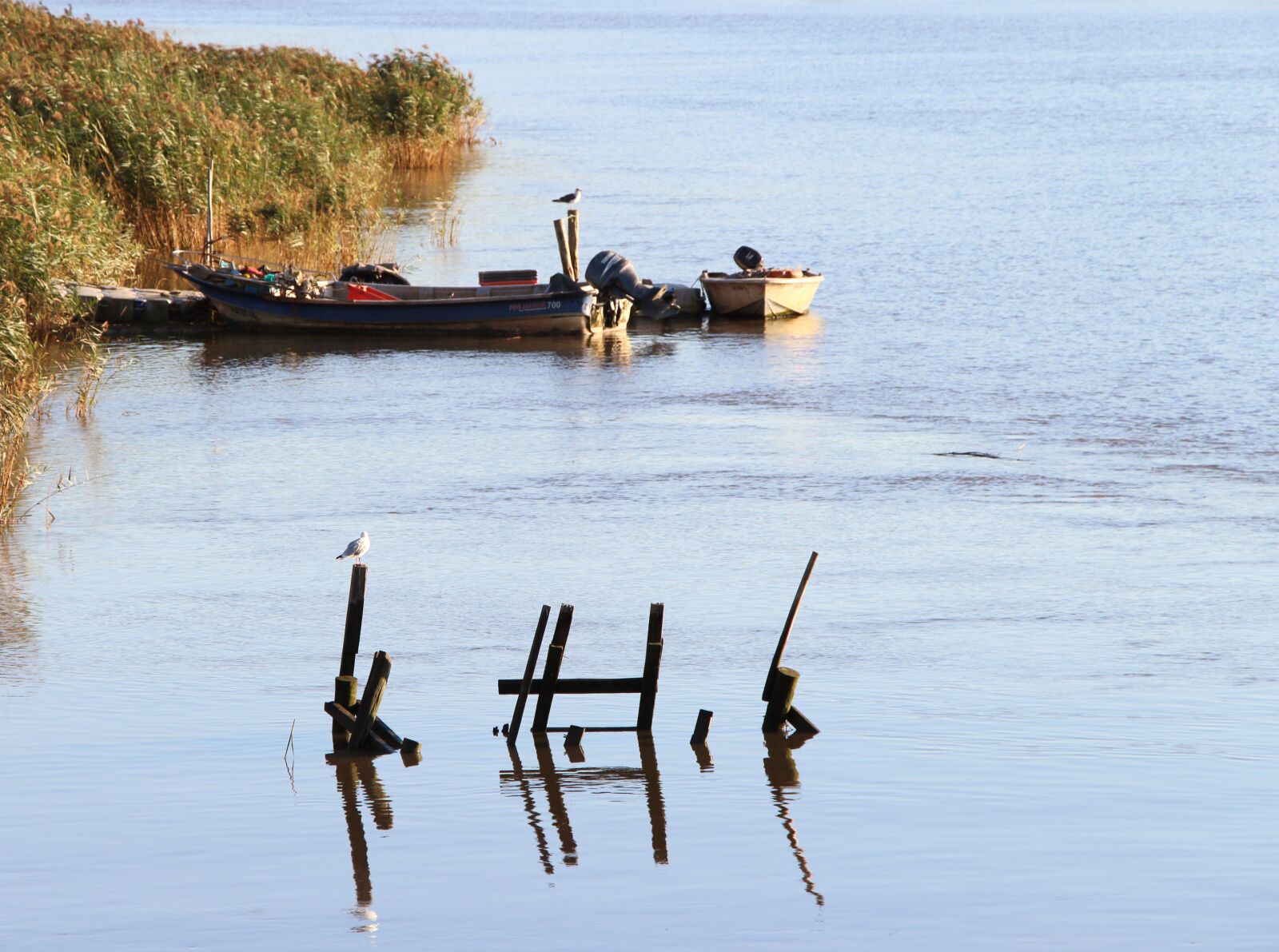 Canon EOS 700D (EOS Rebel T5i / EOS Kiss X7i) sample photo. Rio, sado, boats photography