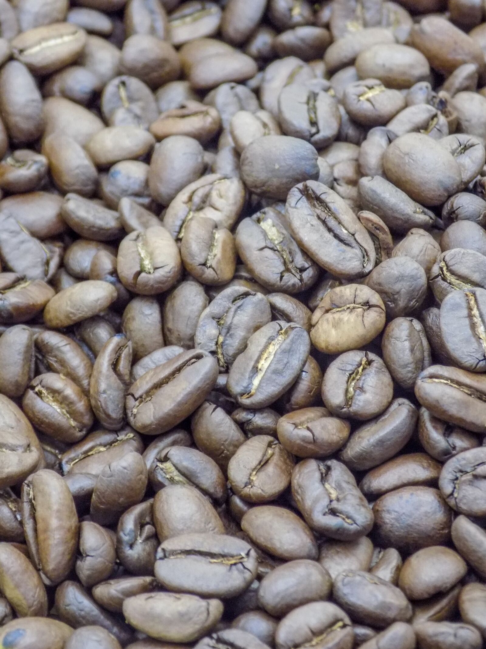 Nikon COOLPIX L330 sample photo. Coffee, grains, black photography