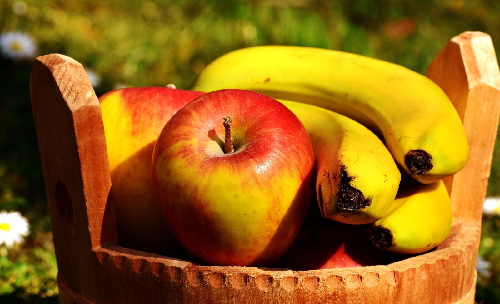Nikon D7200 sample photo. Apple, fruit, ripe photography