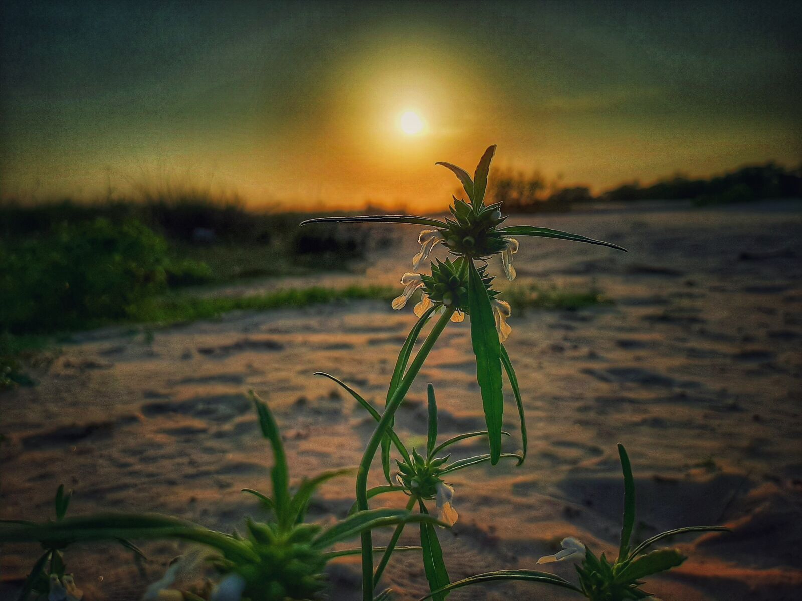 Samsung Galaxy A50 sample photo. Sunset, evening, beautiful view photography