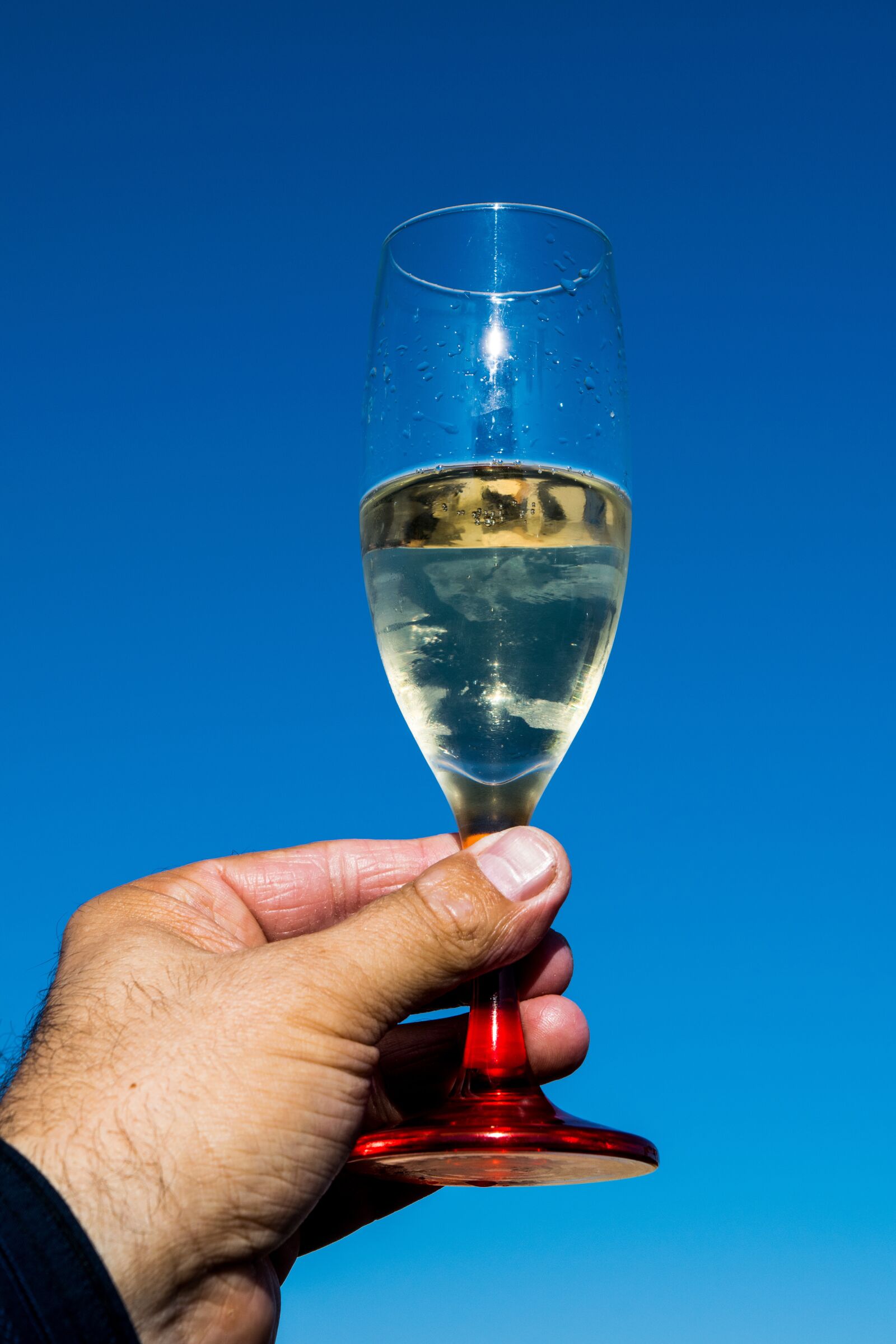 Nikon D5300 sample photo. Toast, sky, cup photography