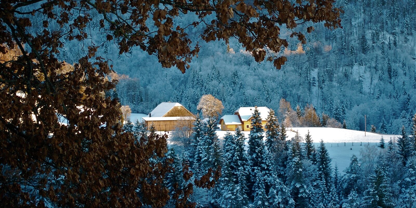 Nikon D40 sample photo. Winter, sun, snow photography