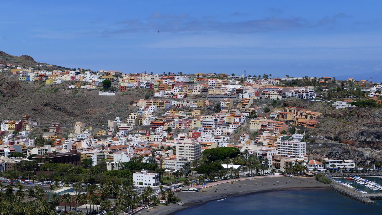 Panasonic Lumix DMC-FZ1000 sample photo. La reptiles, canary island photography