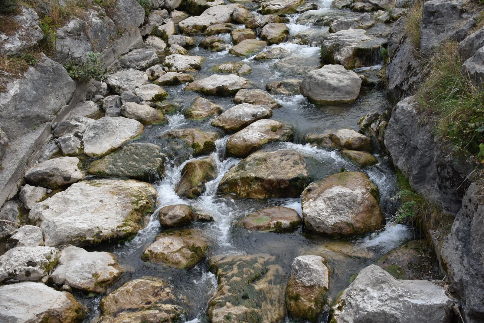 Nikon D5600 sample photo. Court water stone, court photography