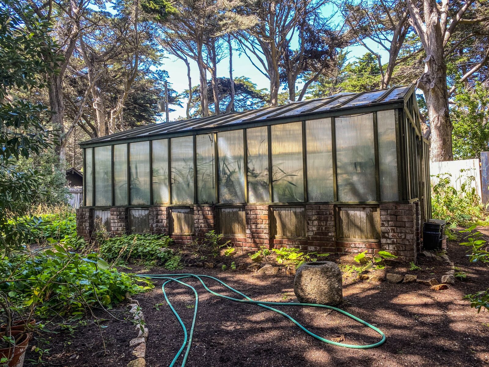 Apple iPhone 11 Pro sample photo. Greenhouse, gardening, carmel photography