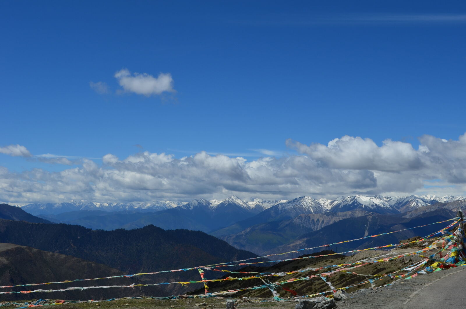 Nikon D5100 sample photo