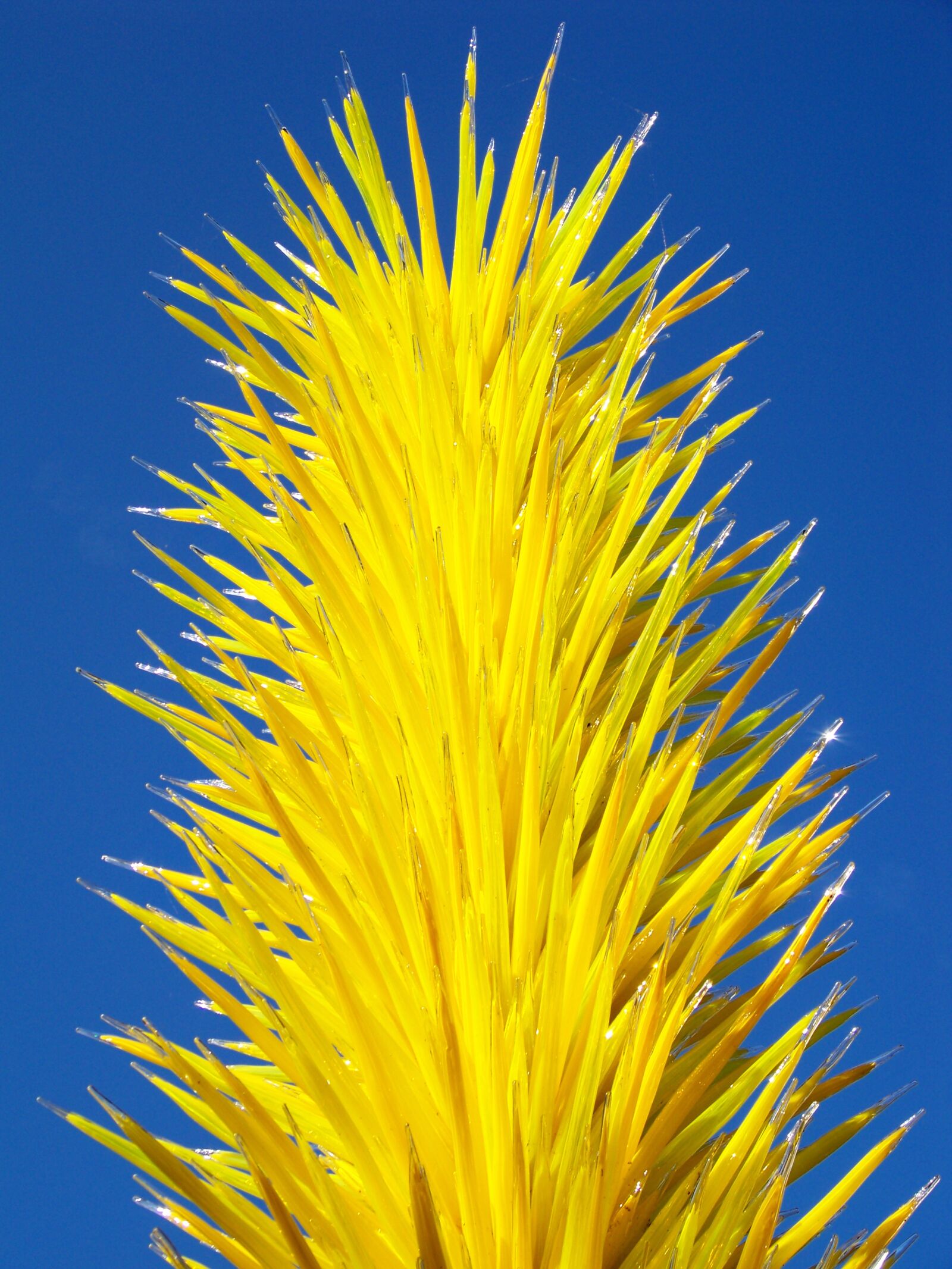 Kodak EASYSHARE Z1012 IS DIGITAL CAMERA sample photo. Chihuly exhibit, yellow glass photography