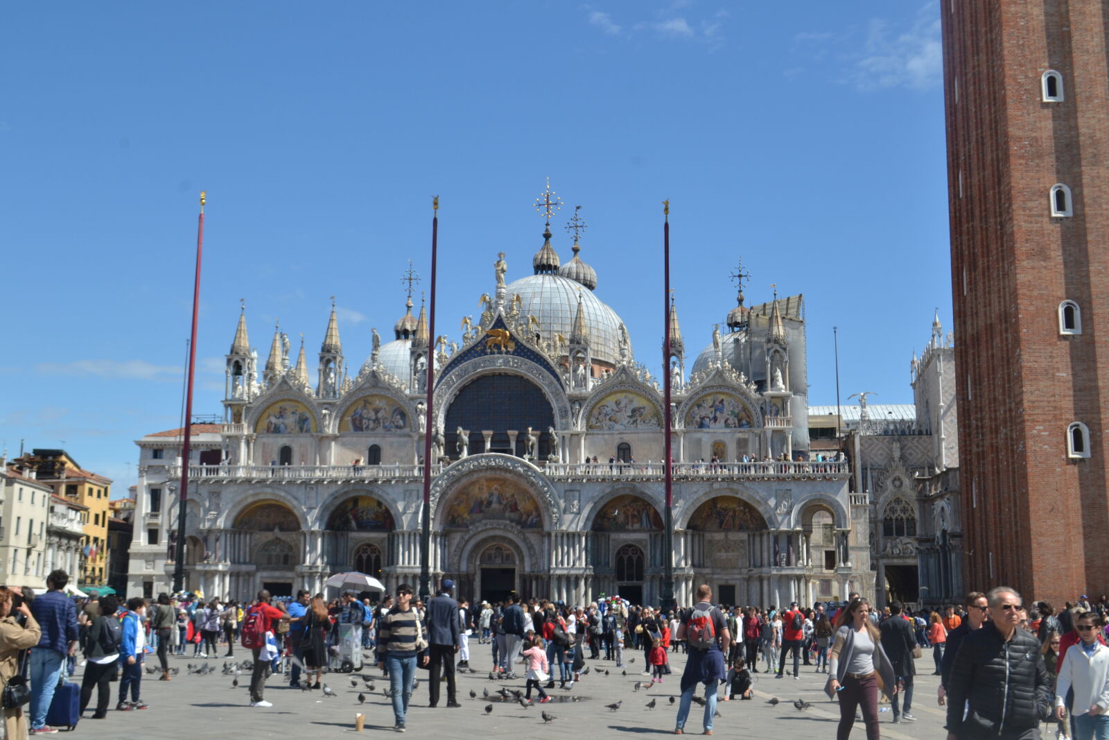 Nikon D3100 sample photo