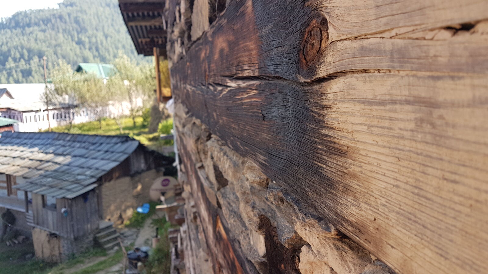 Samsung Galaxy S7 Edge sample photo