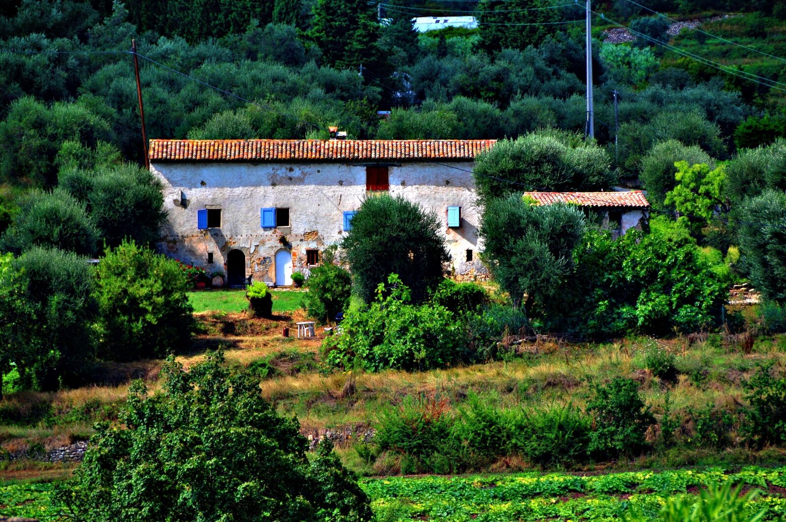 Nikon D300 sample photo. France, provence, europe photography