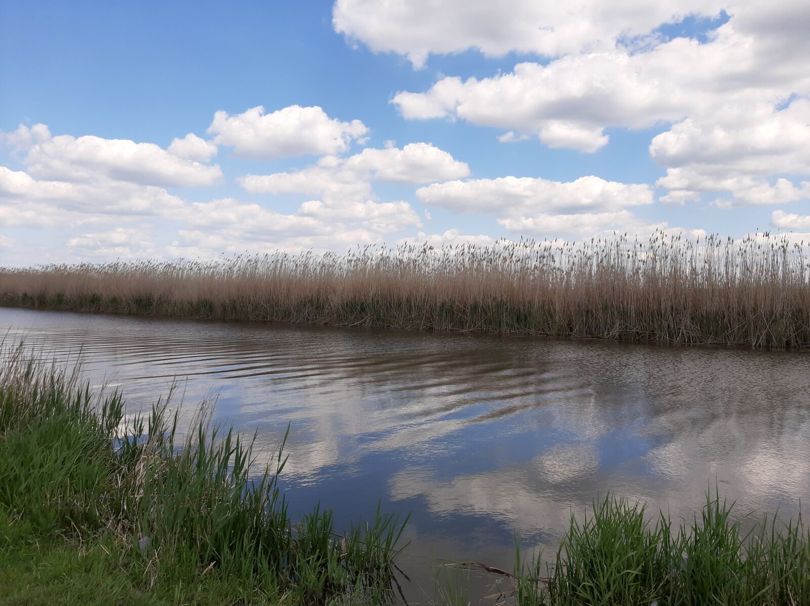 Samsung Galaxy A50 sample photo. Mius, river, sky photography