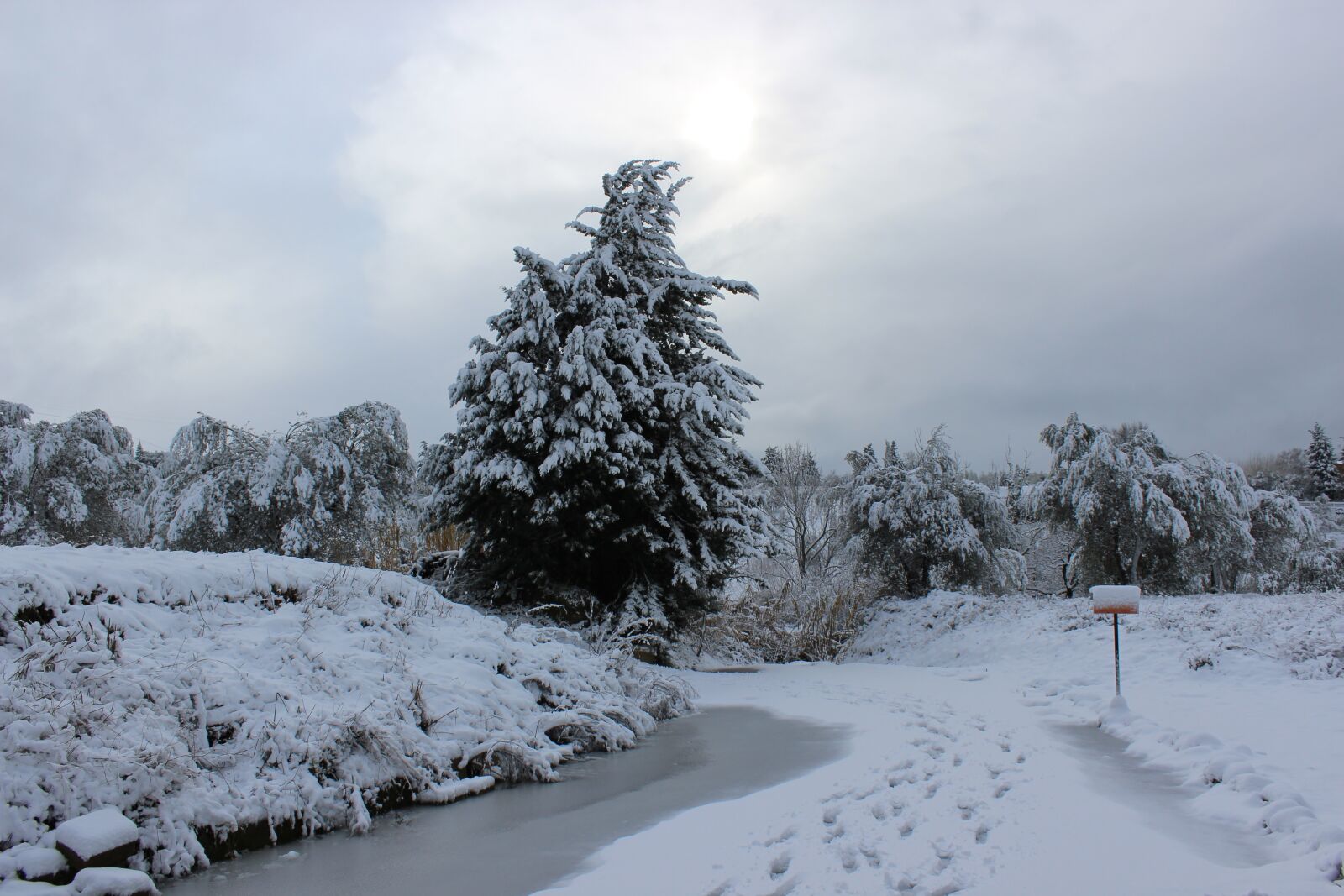 Canon EOS 600D (Rebel EOS T3i / EOS Kiss X5) sample photo. Winter, snow, cold photography