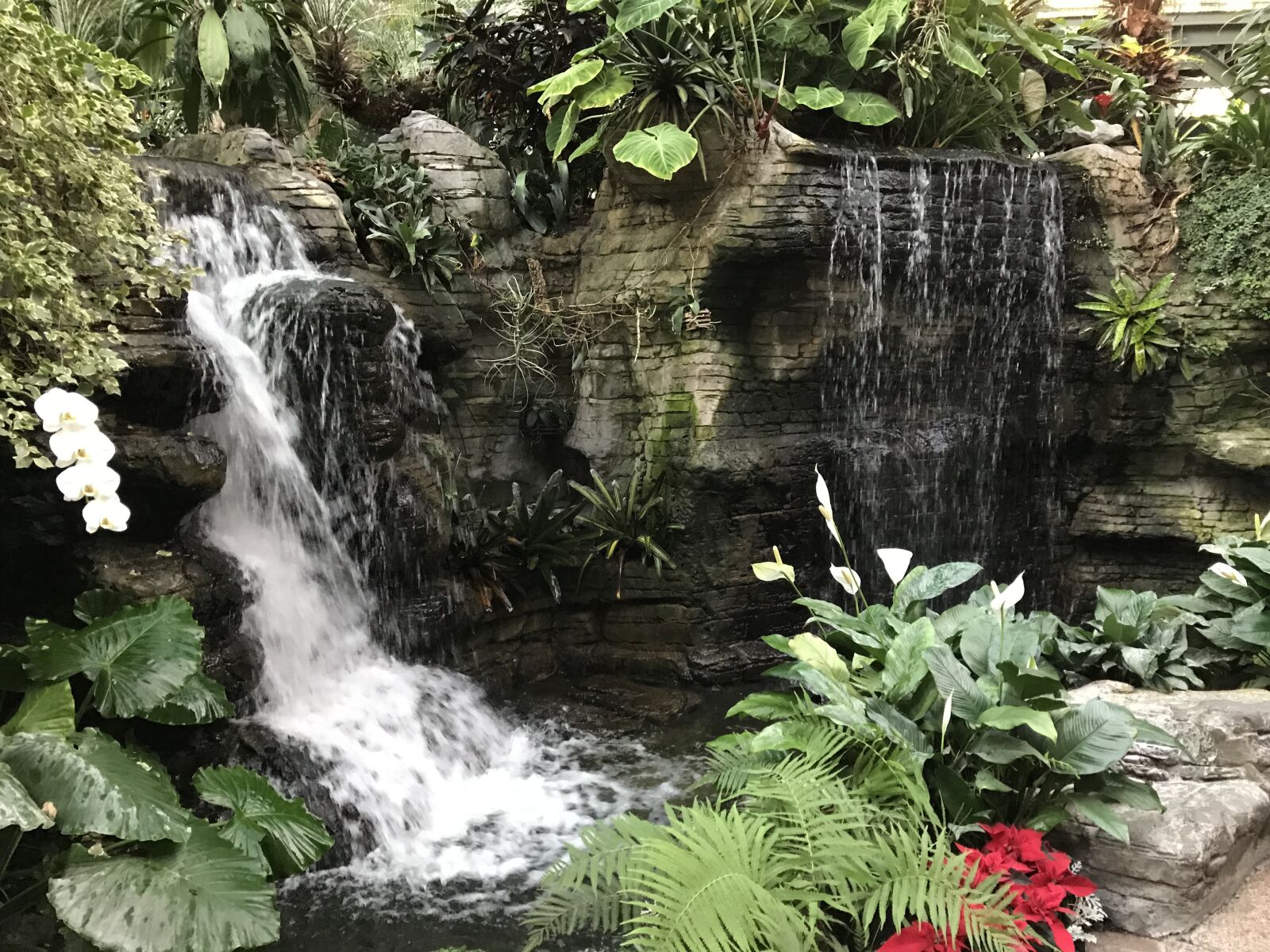 iPhone 7 Plus back dual camera 3.99mm f/1.8 sample photo. The gaylord hotel, garden photography