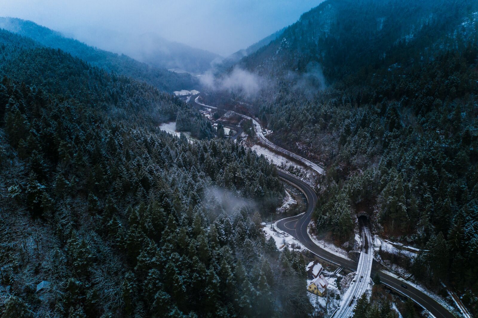 Hasselblad L1D-20c sample photo. Black forest, firs, trees photography