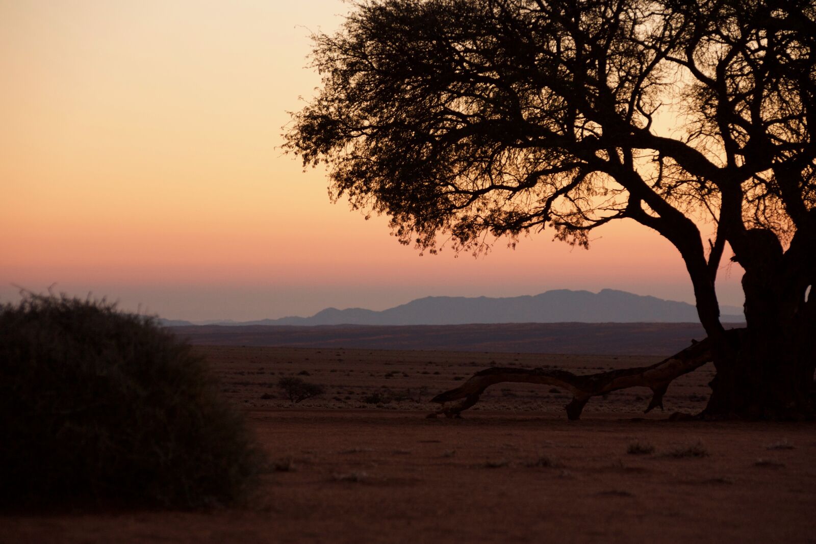 Canon EOS 450D (EOS Rebel XSi / EOS Kiss X2) sample photo. Namibia, sunset, desert photography