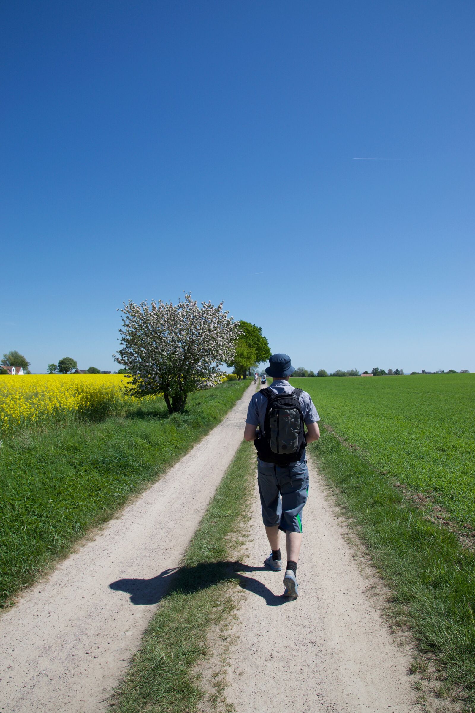 Nikon D5300 sample photo. Road, outdoors, nature photography