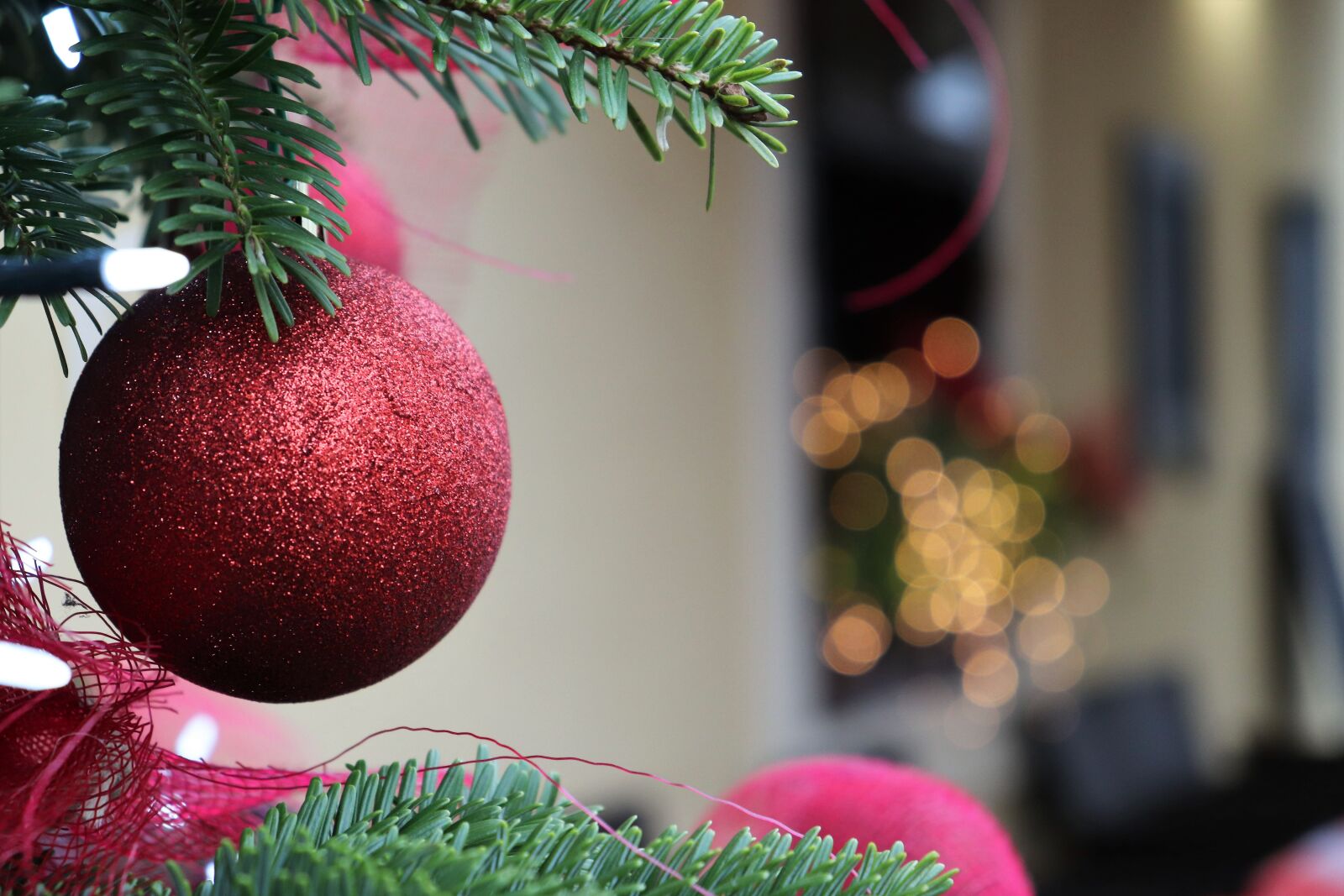 Canon EOS 200D (EOS Rebel SL2 / EOS Kiss X9) sample photo. Christmas decoration, advent, fir photography