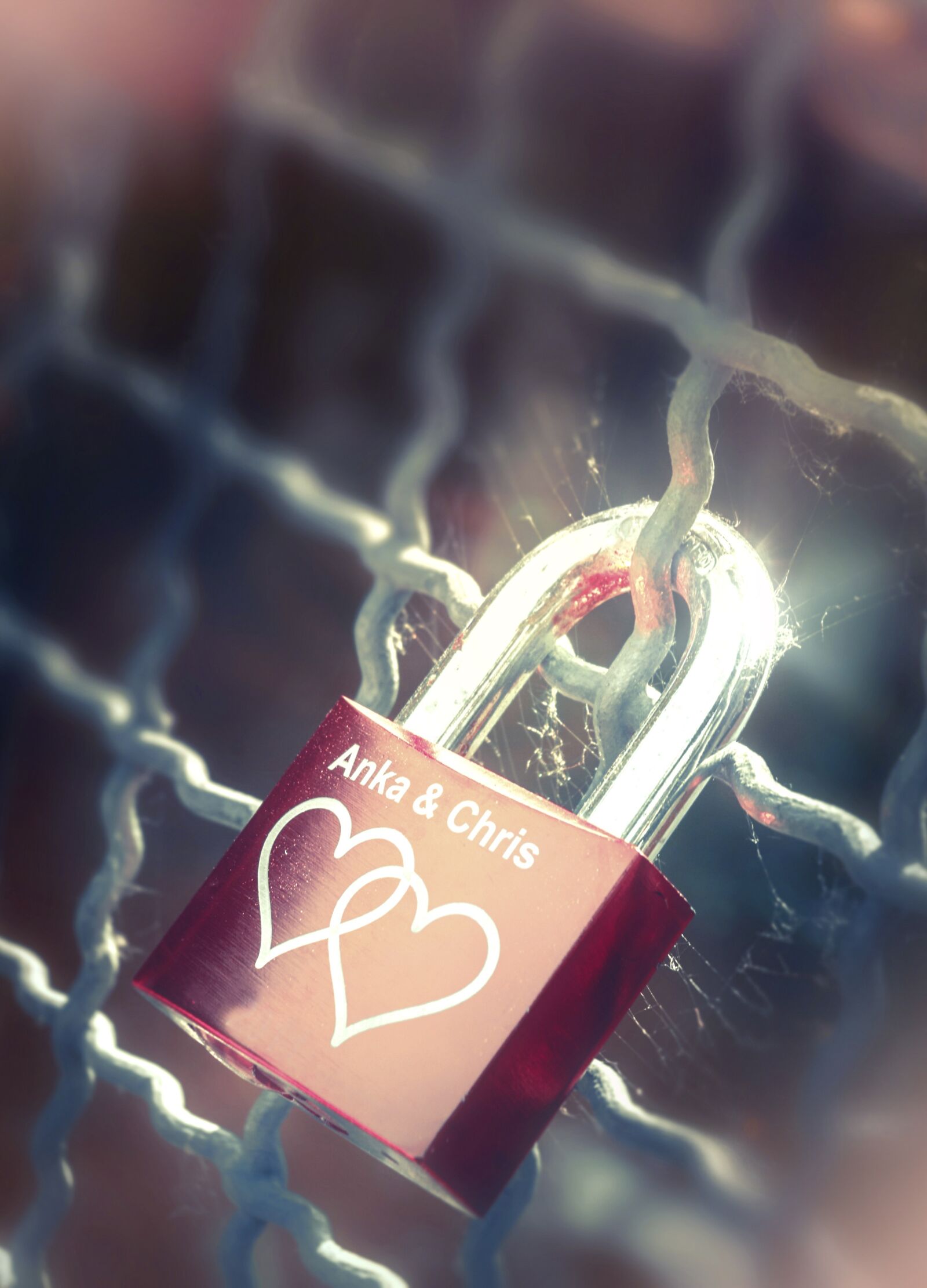 Nikon D200 sample photo. Castle, love, love symbol photography