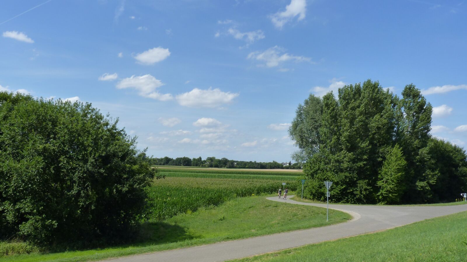 Panasonic Lumix DMC-FZ35 (Lumix DMC-FZ38) sample photo. Sky, nature, landscape photography