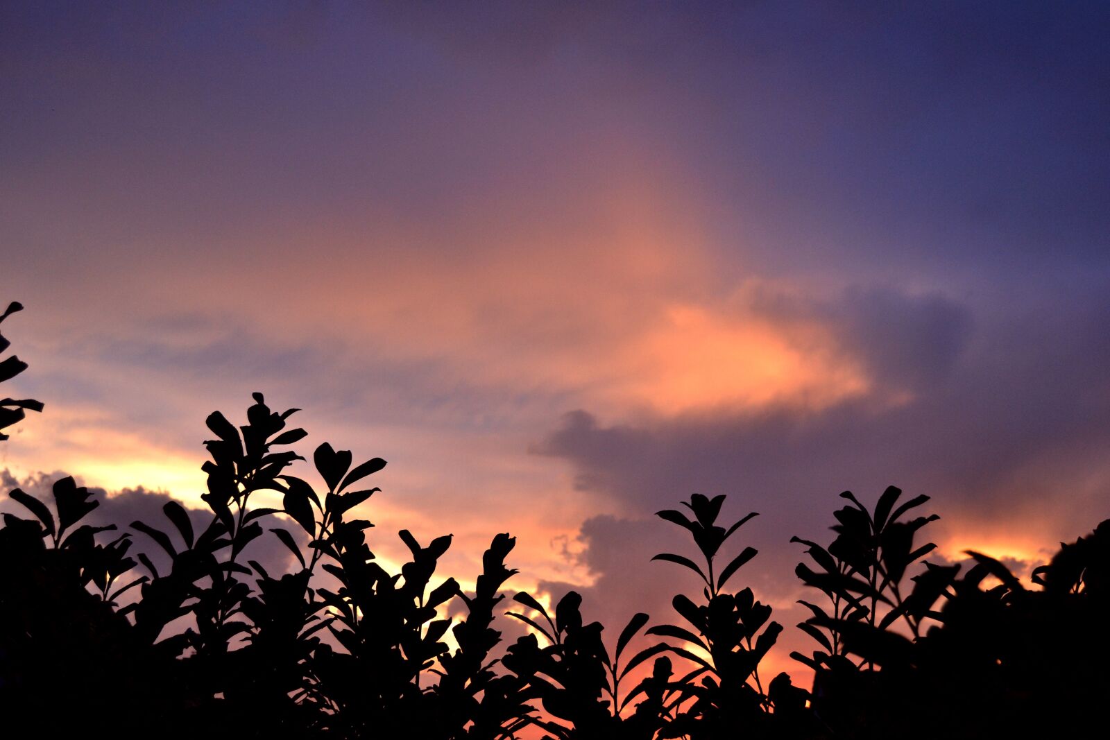 Nikon D3100 sample photo. Sunset, clouds, contrast photography