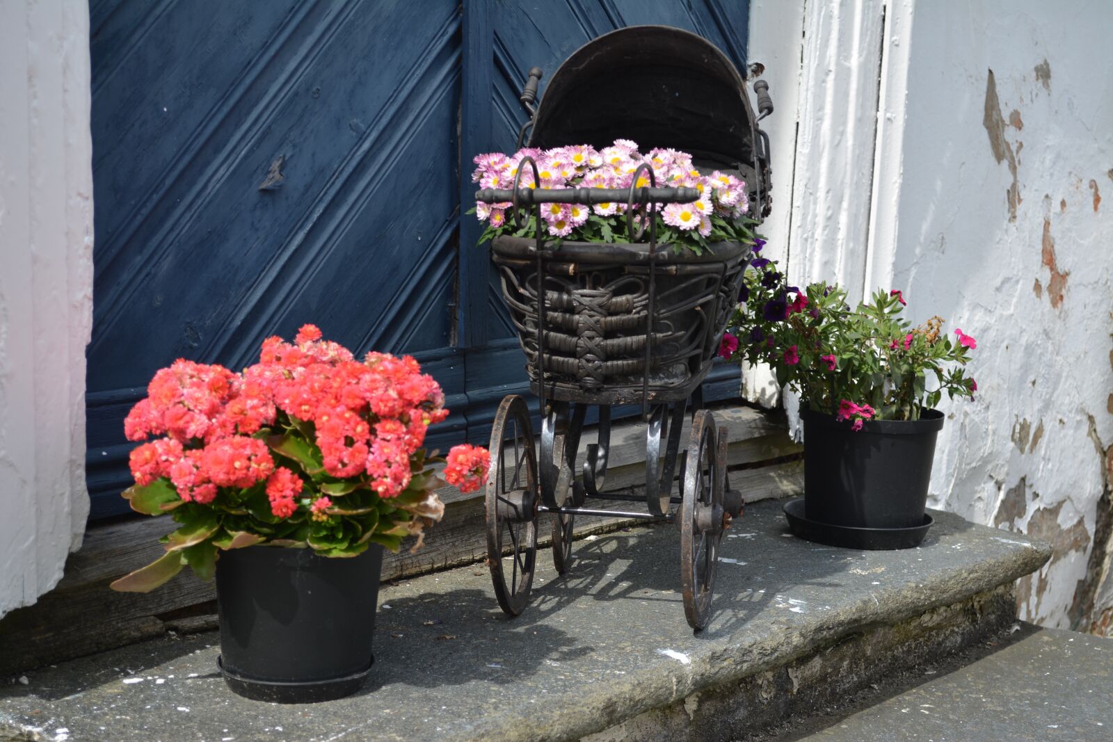 Nikon D5200 sample photo. Flower, pot, garden photography