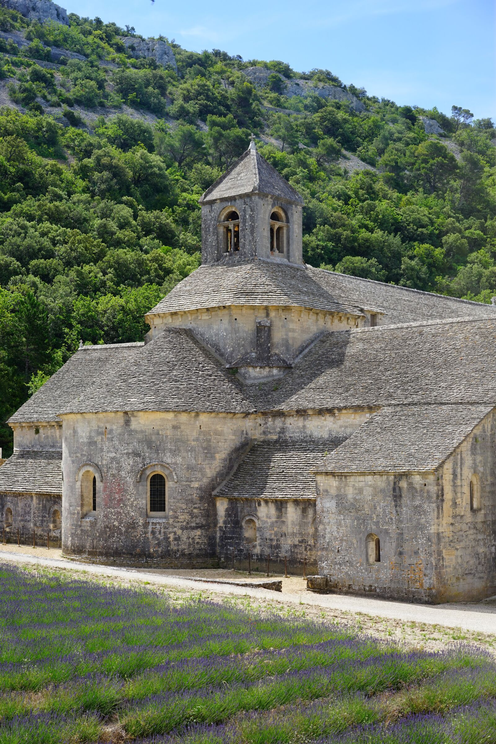 Sony a7 + Sony Sonnar T* FE 55mm F1.8 ZA sample photo. Abbaye de s nanque photography