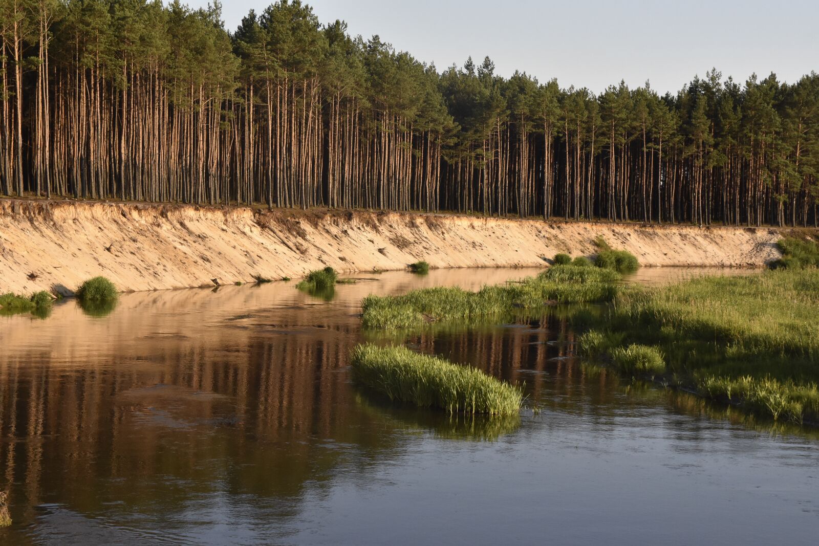 Nikon D7200 sample photo. Water, river, nature photography