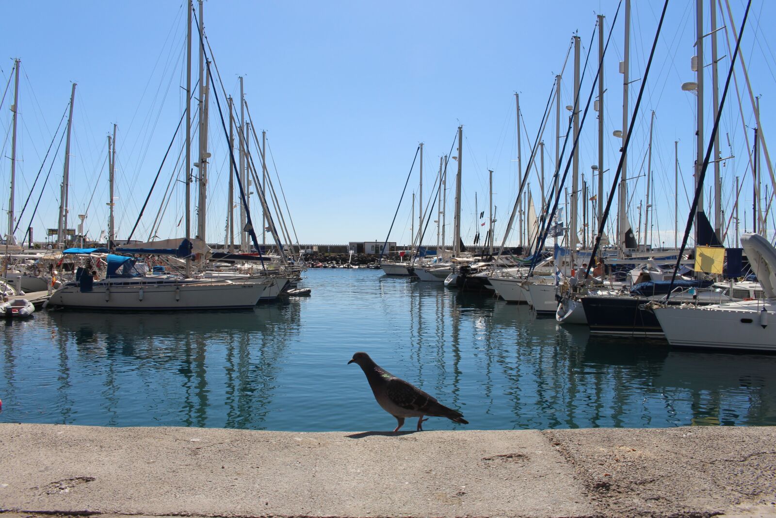 Canon EOS 700D (EOS Rebel T5i / EOS Kiss X7i) sample photo. Port, water, sea photography