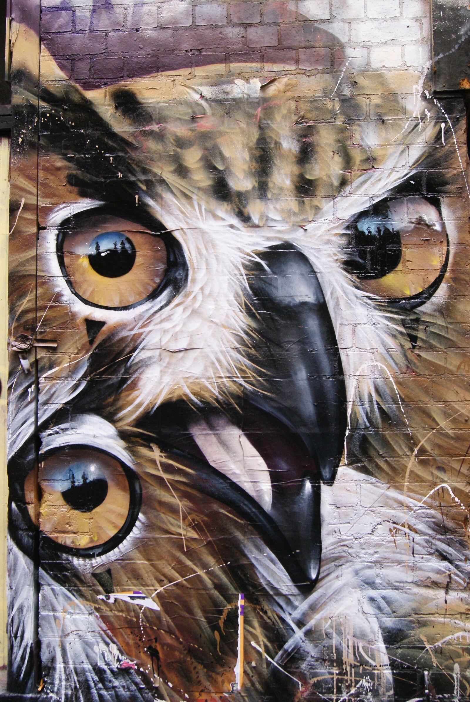 Sony Alpha DSLR-A230 sample photo. Streetart, grafitti, artwork photography