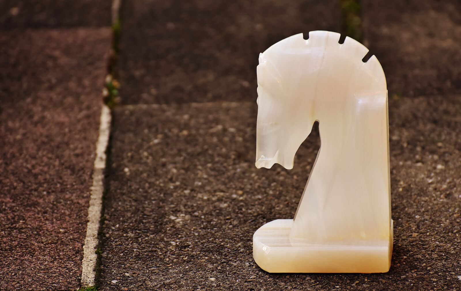 Nikon D7200 sample photo. Horse, horse head, marble photography