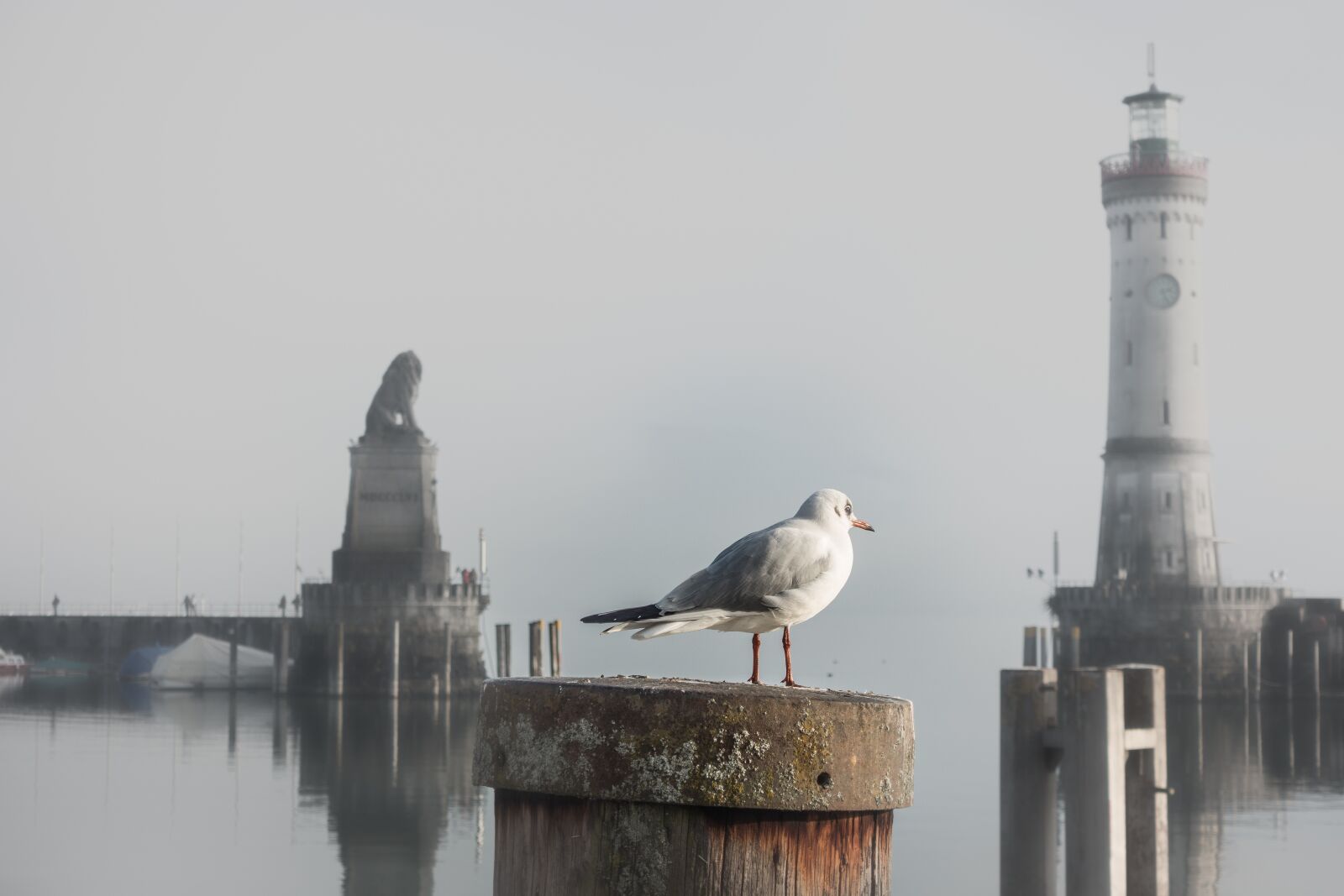 Sony Cyber-shot DSC-RX100 III sample photo. Seagull, port, gateway photography