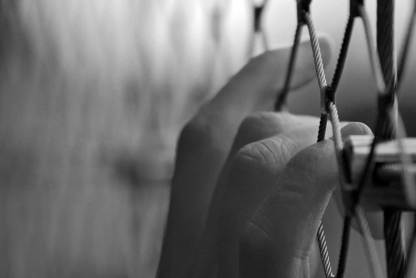 Nikon D60 sample photo. Cage, prisoner, freedom photography