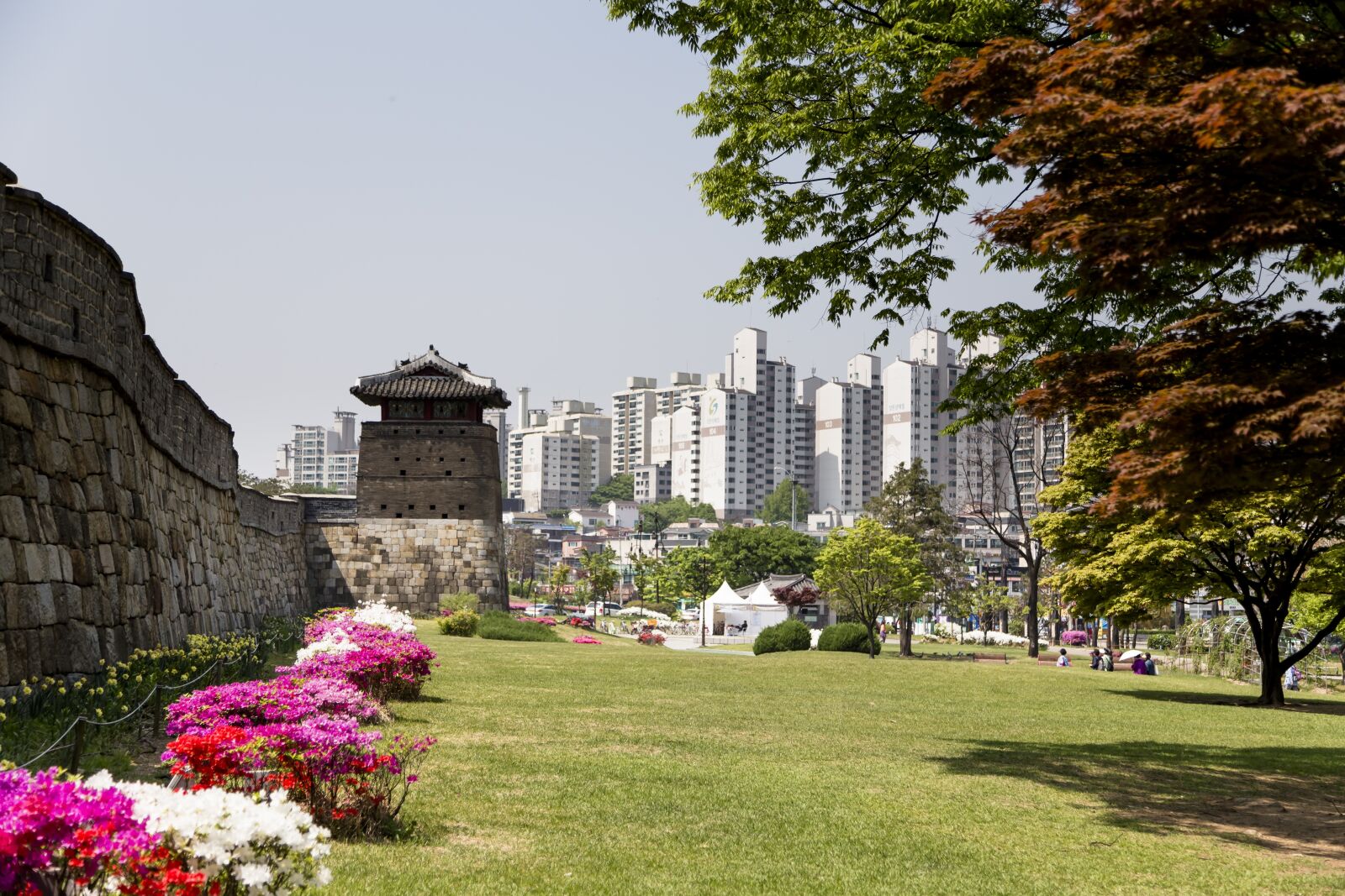 Canon EOS 6D + Canon EF 24-105mm F4L IS USM sample photo. A heart-madonna, korea, republic photography