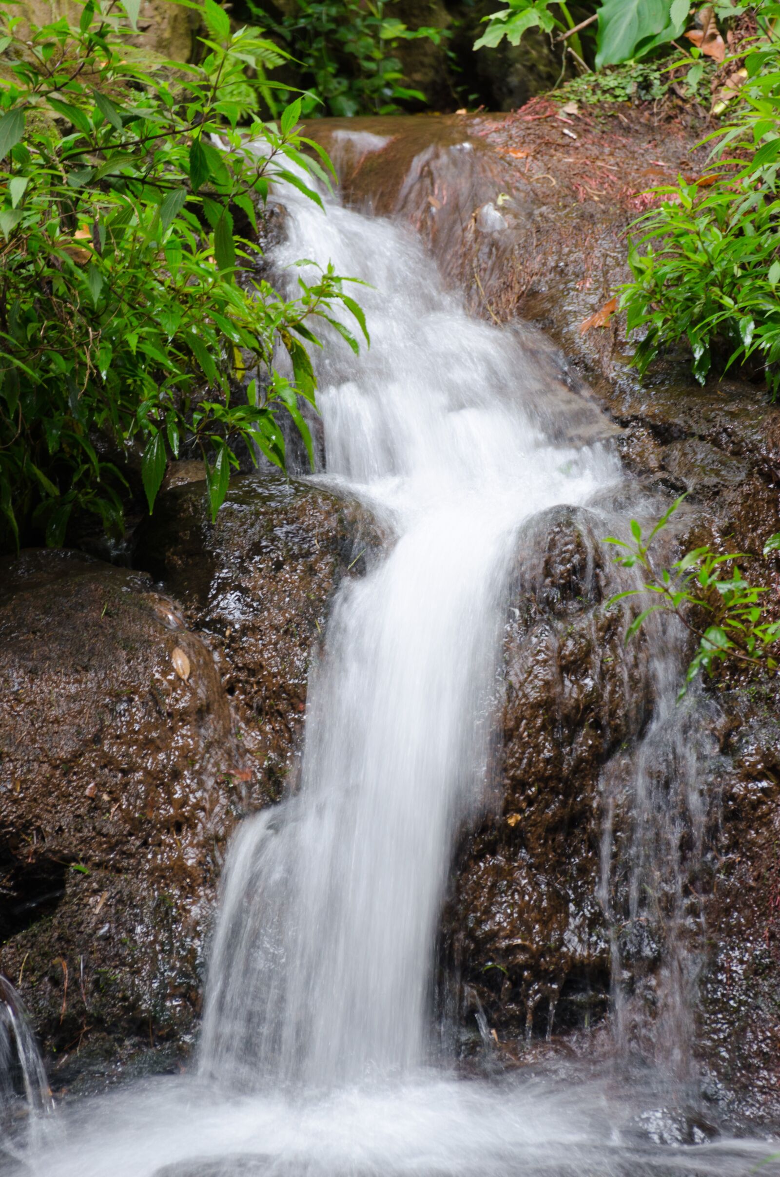 Nikon D5100 sample photo. Funchal, madeira, portugal photography