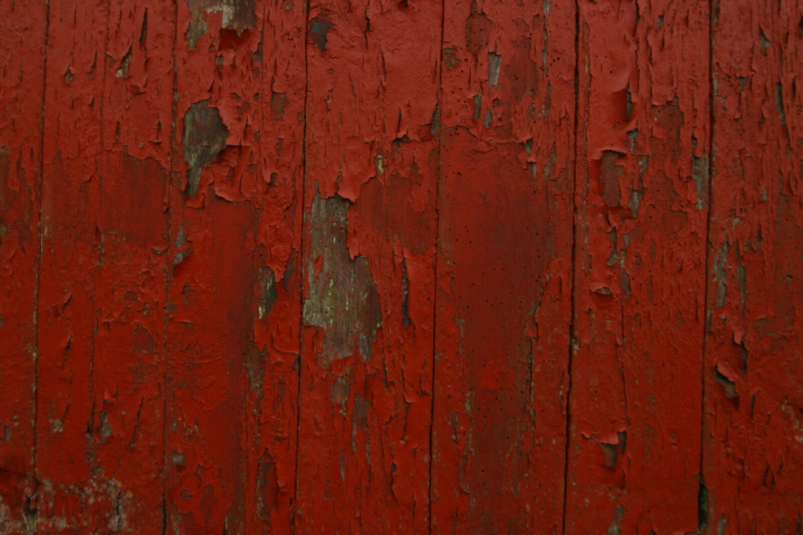 Canon EOS D60 sample photo
